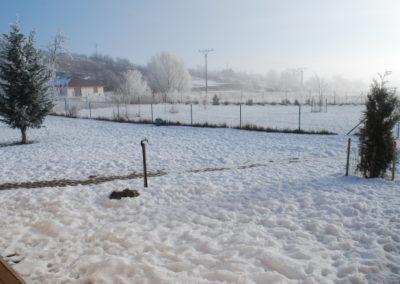 Zahrada, venkovní výběhy