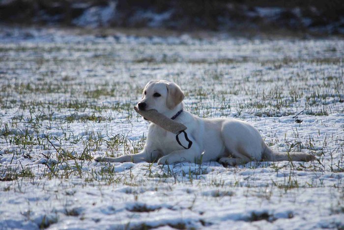 Víkendové setkání – ÚNOR 2009
