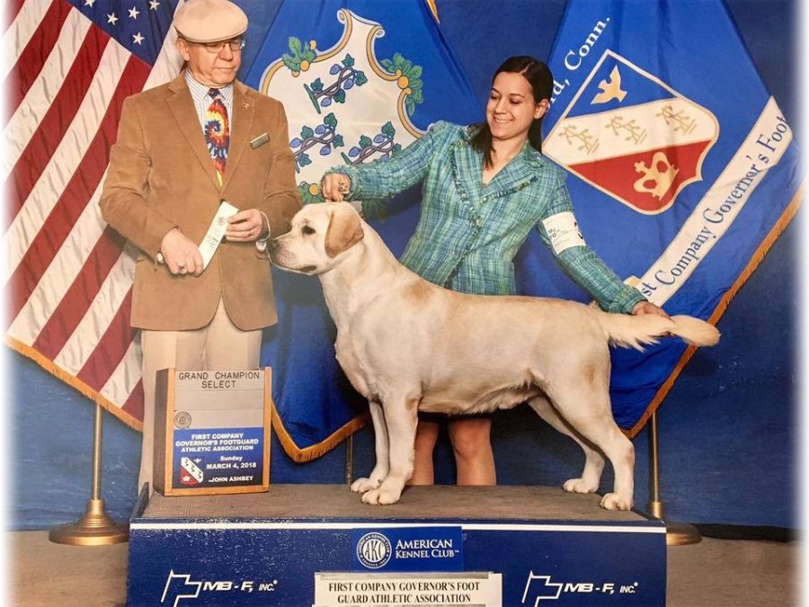 Vnuk naší Zayušky se stal Šampionem Ameriky !!!