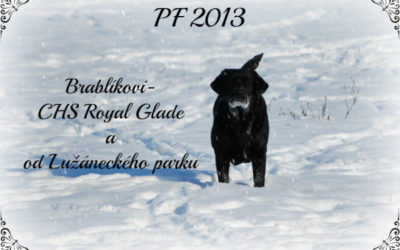 PF 2013