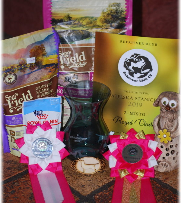 Speciální výstava retrieverů Kelč 28.9.2020