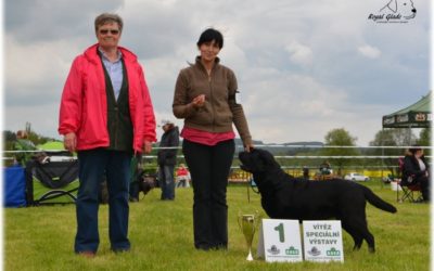 Klubová a Speciální výstava KCHLS Humpolec 9. a 10.5.2015
