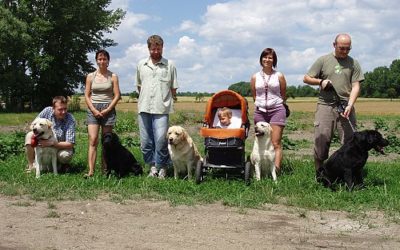 Výcvikové setkání v Oleksovicích u Znojma