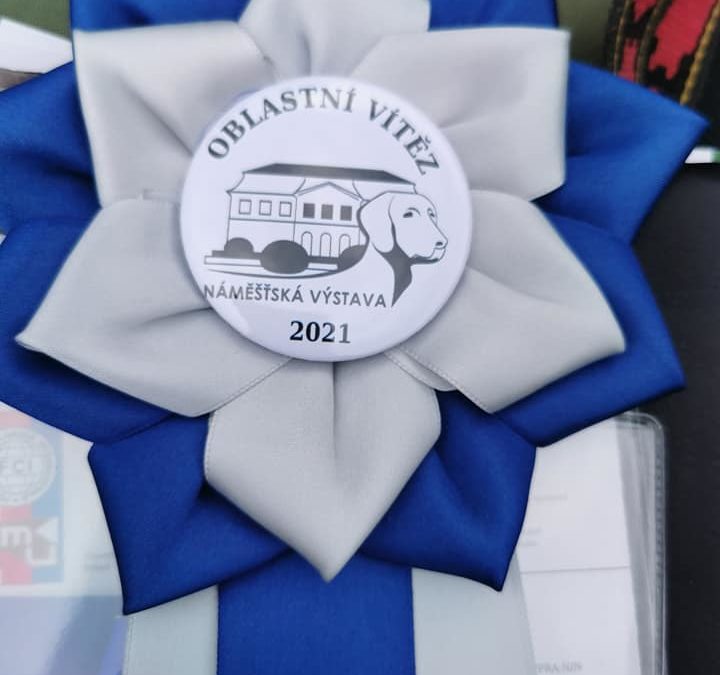 OV Náměšť na Hané 11.7.2021