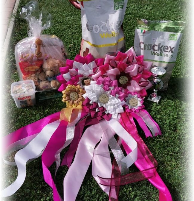 Oblastní výstava Kelč 13.8.2021