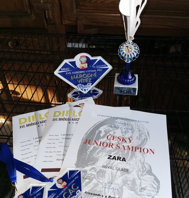 Výstavní sezóna 2022 zahájena !!!
