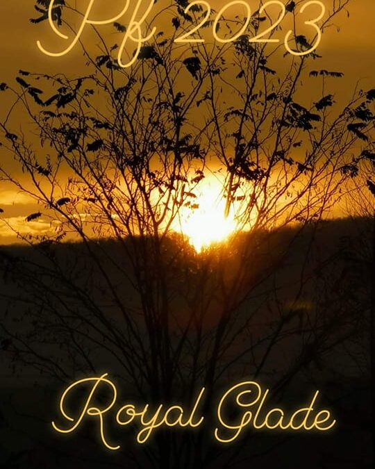 Přejeme vše nejlepší do nového roku 2023 !!!