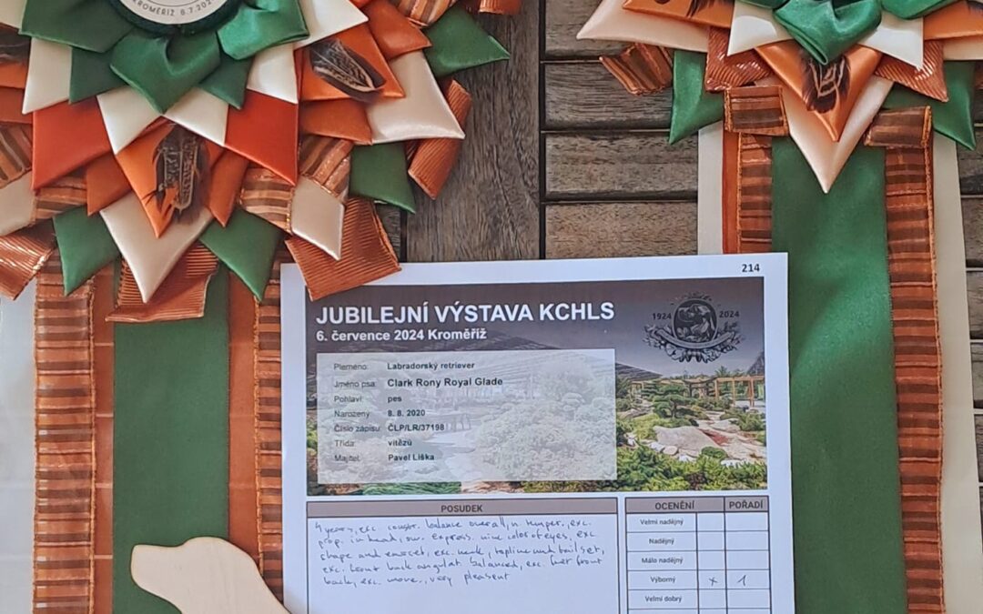 Výstavní úspěchy….