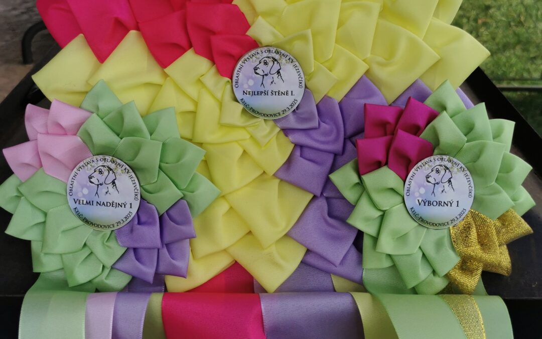 OV Provodovice 29.3.2025